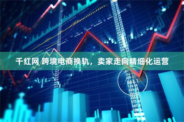 千红网 跨境电商换轨，卖家走向精细化运营
