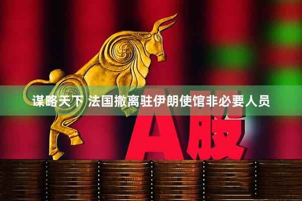 谋略天下 法国撤离驻伊朗使馆非必要人员